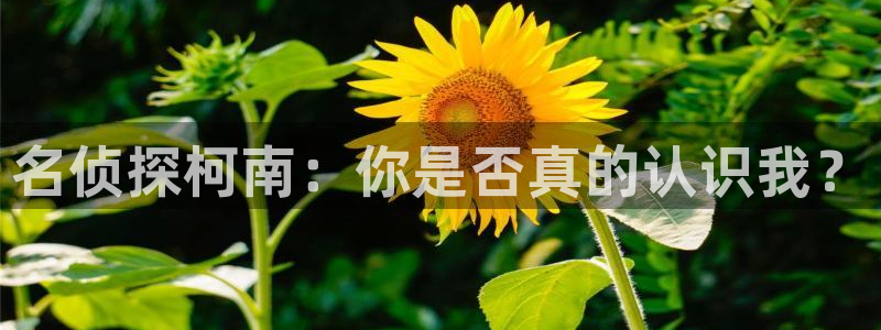 女神漫画免费漫画下拉式